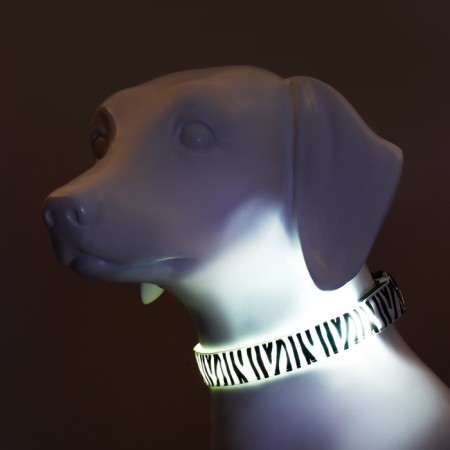 Collar with backlighting zebra 3 glow mode size XL, Osh 60-70 x 2.5 cm white-1