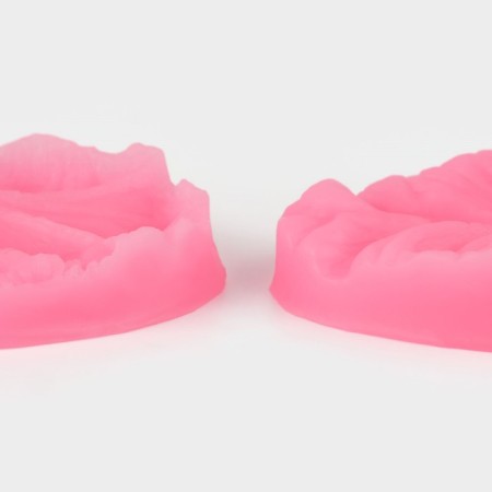 Mold "Leaf of Tropical Plants", silicone, 2 pcs, 6.5 × 4 × 2.3 cm, color mix-3