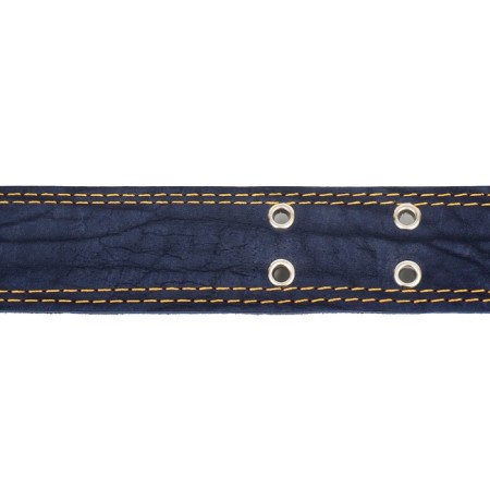 Collar combined leather/tarpaulin, dimensionless, 83 x 4.5 cm, Osh 20-70 cm, blue-4