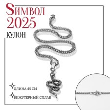 New Year! Symbol of the year 2025! Snake chain Ground, Black Silver Color