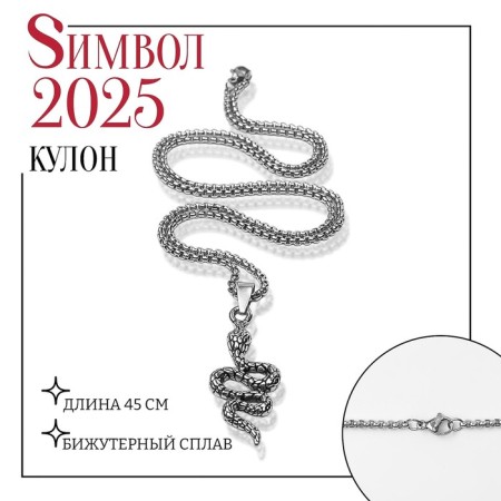 New Year! Symbol of the year 2025! Snake chain Ground, Black Silver Color