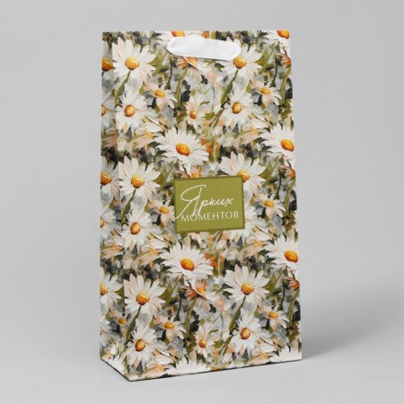 Gift package for two bottles, packaging, “bright moments”, 35 x 20 x 9 cm-3