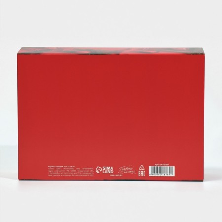 Box the team "New Year's photo", 22 x 15 x 6 cm, New Year-6