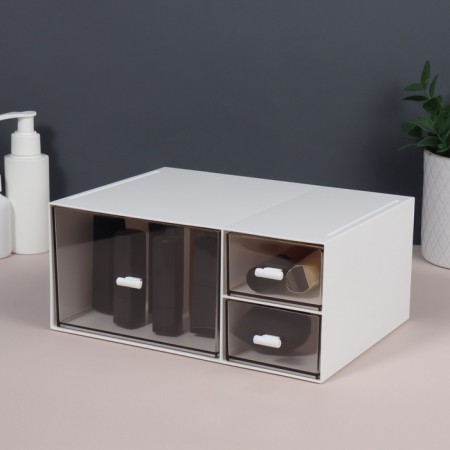 BASIC organizer for storage, multi -level, 3 sections, 22.9 × 17.5 × 10 cm, white/transparent color