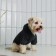 Single-fat sweatshirt for dogs (footer), size S (DS 23, Osh 32-34, OG 40-44), gray