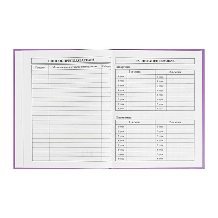 Diary 1-4 grade, 48 sheets of Kapibara, solid cover, matte lamination, fraud, glitter, glitter/m2-5