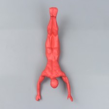Souvenir Polystone 
