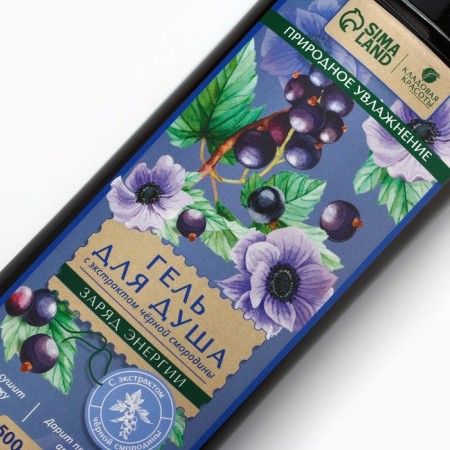 Shower gel with blackcurrant extract, 500 ml, pantry of beauty-3