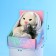 New Year's soft toy "Winter LI", 25 cm, for the New Year