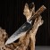 Hunting knife "Hild" 32.5cm, blade 205mm/2.7mm, brown