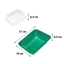 Mini-Pirate for seedlings 21 × 16 × 6.5, without inserts, Greengo