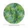 Groundpress on the table "Tropical leaves", round, oxford, elastic band, size 120x120 cm, diameter 75-100 cm