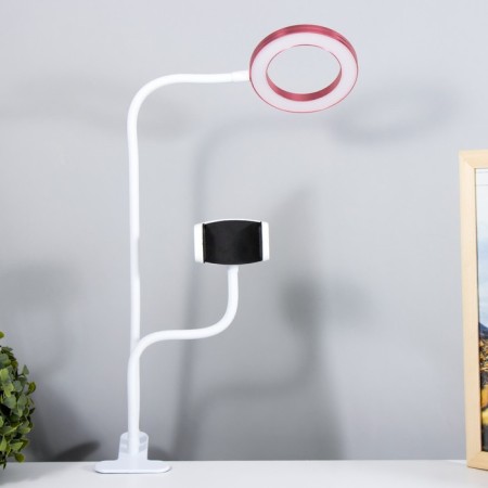 Board Octopus LED USB Rose 11x63 cm Risalux-1