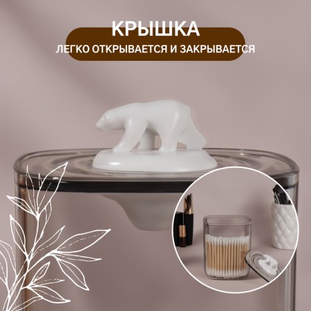 Organizer for storage "Bear", with a lid, 9 × 9 × 13.5 cm, the color is transparent-1