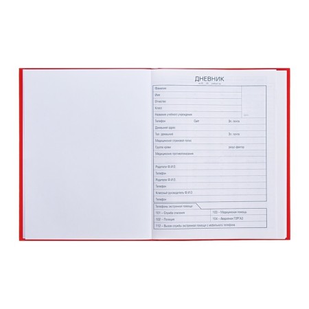 Universal diary for grades 1-11 Russia, hard cover, glossy lamination, 40 sheets-4