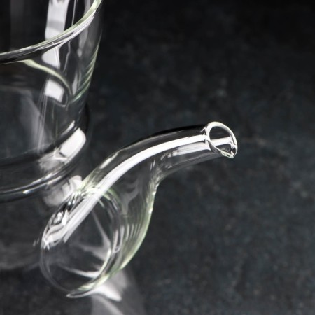 Glass teapot "Eco. East ", 800 ml, 18 × 11.5 × 17 cm-2