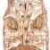 Dog jacket "Shine", S (DS 25, OG 37, Osh 24 cm, up to 5 kg), bronze