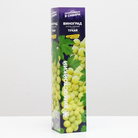 Grape seedling Tukai, spring 2024, 1 pc.