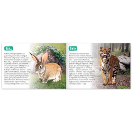 The training book "Forest animals", 20 p.-1
