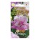 Flowers of Petunia Flower Breakies "Tenderness", 10 pcs 1029123