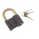 Hinged castle, 62x90 mm, 3 keys