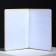 Cover for passport "Passport", PVC shiny, gold color