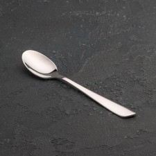 A spoon of a teaspoon of stainless steel Magistro 