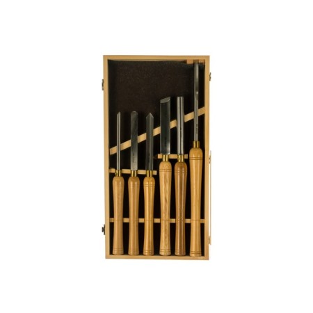 A set of woods on the Wood Encor Prof 10420, a wooden handle, 6 pcs.