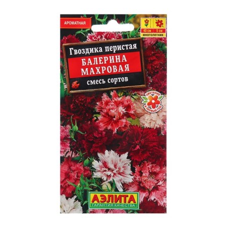 Babel carnation seeds Trushka, mixture of varieties MN centers 0.1 g