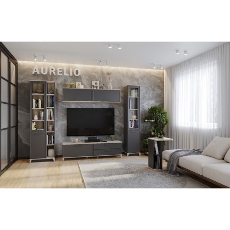 Cabinet hinged Aurelio 4, 800 × 355 × 362 mm, color Anthracite / Blackwood satin-4