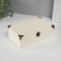 Casket wood for painting "chest" 24x15x8 cm