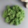 Moss Yagel stabilized, premium, "natural green" 1000 gr.
