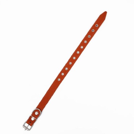 Collar leather single-layer, dimensionless, 56 x 2.5 cm, Osh 17-44 cm, orange-2