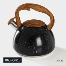 A kettle with a stainless steel whistle Magistro Stone, 2.7 L, Soft-Touch handle, induction, black color