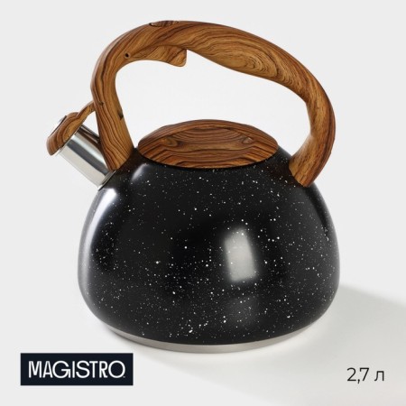 A kettle with a stainless steel whistle Magistro Stone, 2.7 L, Soft-Touch handle, induction, black color