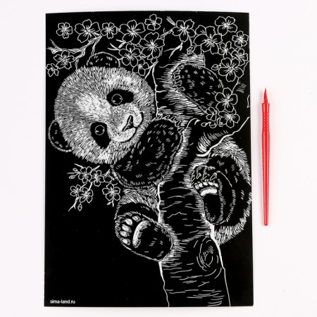 Engraving. Set of engravings "Animals", A4, 4 pcs-3