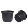 Pot for seedlings, 2.2 l, d = 21 × 16 cm Greengo