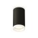 Ambrella Light overhead lamp, XS6323040, MR16 GU5.3 LED 10 watts, black sand, white matte