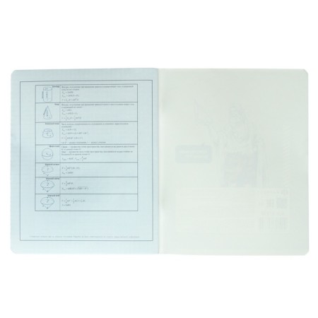 A notebook “Bright details”, 48 sheets in the “Geometry” cage, covered cardboard, selective twin-lak, UV-lak, OFSET block-5