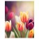 Pillow Roller "Field of tulips, decorative, size 16x45 cm