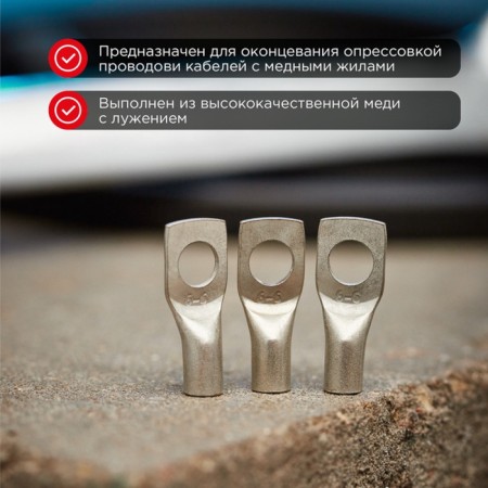 Tip of copper puddled tml -r 6–6 (6mm² - Ø6mm) (in package. 10 pcs.) Rexant-1