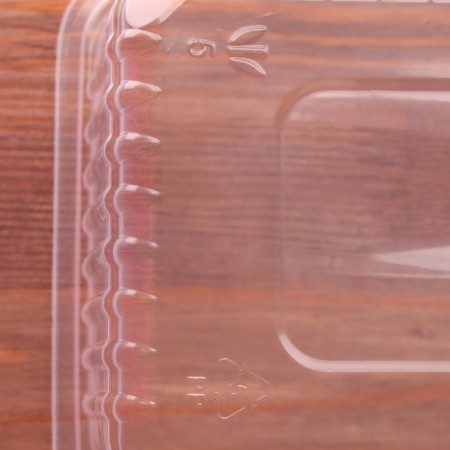 Container Plastic disposable “Yuzhuralpak”, KR-179, 1000 ml, 17.9 × 13.2 × 7 cm, transparent color-1