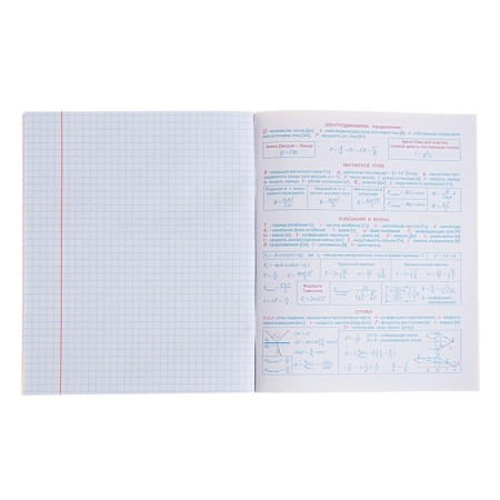 The subject of the “domino”, 48 sheets in the cage, “physics”, plastic cover, offset block-4