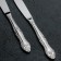 Tree knife "Troika", h = 21.5 cm, total 2 mm, silver color