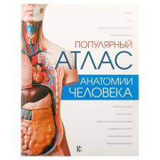 The popular atlas of human anatomy. Palycheva L.N.