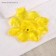 Hylet of Medical Physiotherapeutic "Sun", yellow color