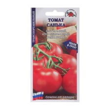 Seeds Tomat 