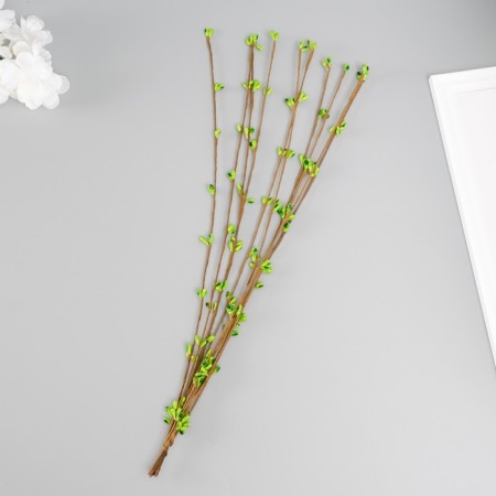Decorative twig for creativity with kidneys, 40 cm,
