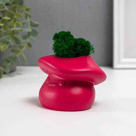 Concrete Kashpo "Mushroom" with moss 10x8x6.5 cm Bordeaux (moss green stabilized)-1