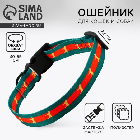 Collar "in style", fastener - fastx, 2.5 cm, 40-55 cm
